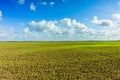 Green Agricultural Farm Field with Blue Sky and White Clouds in the Background,ÃÂ Grassland,ÃÂ Country Meadow Landscape,ÃÂ .World Royalty Free Stock Photo